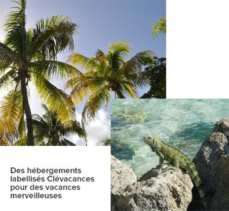 Vacances en villa en Guadeloupe